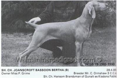 Image of Joanscroft Bassoon Bertha