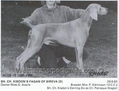 Image of Kisdon's Fagan of Sireva