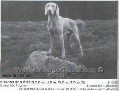 Image of Ritisons Son of Brig