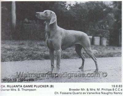 Image of Rujanta Game Plucker