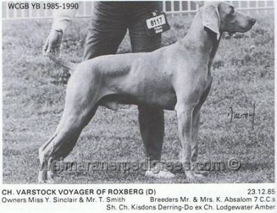 Image of Varstock Voyager of Roxberg