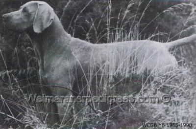 Image of Arras Attack of Trilite