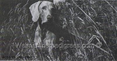 Image of Carl August von Haselunne