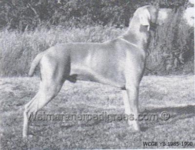 Image of Gunalt Tatler of Huntly