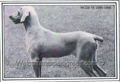 Image of Ivymoor Chalcedony