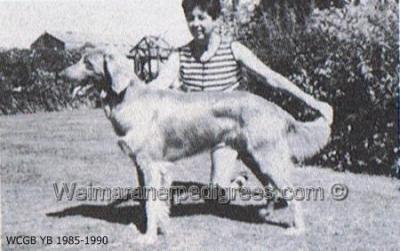 Image of Pondridge Paper Moon