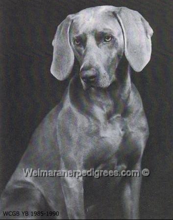 Image of The Statesman from Shalina