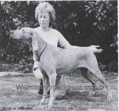 Image of Rujanta Game Pickup