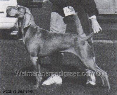 Image of Rujanta Haleena