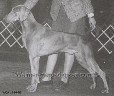 Image of Shomar Wings Of Glory V Orion