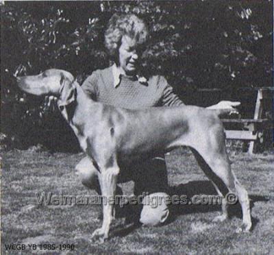 Image of Silvershadow Bracken Girl