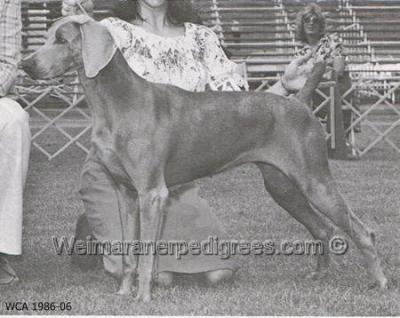 Image of Lady Rebecca of Camelot