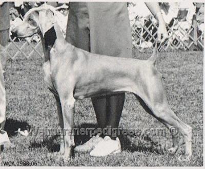 Image of Graystone's Autumn Mist