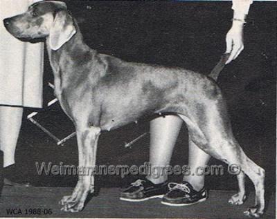 Image of Stonecreek's Image Of Wismar