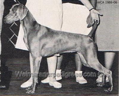 Image of Stonecreek's Magic of Wismar