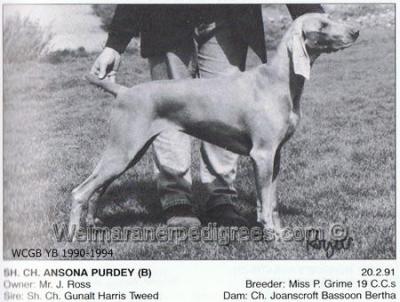 Image of Ansona Purdey