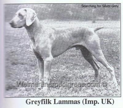 Image of Greyfilk Lammas