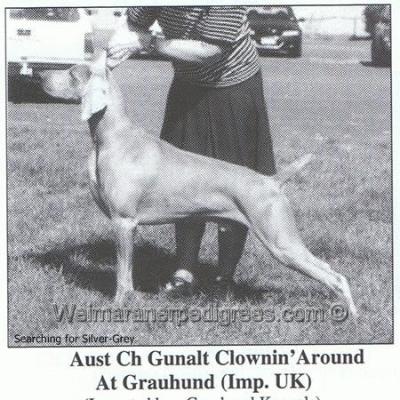 Image of Gunalt Clowning Around At Grauhund