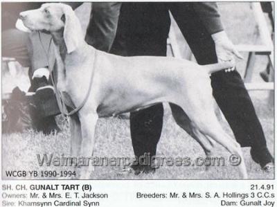 Image of Gunalt Tart