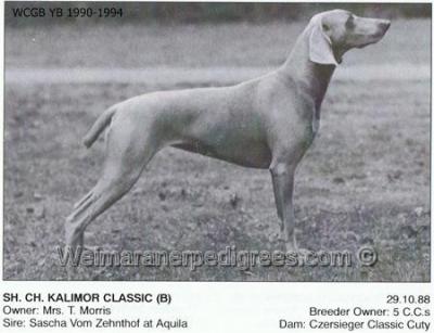 Image of Kalimor Classic