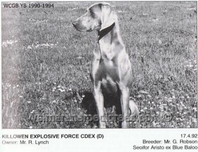 Image of Killowen Explosive Force