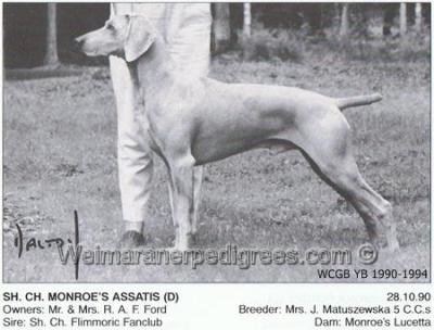 Image of Monroe's Assatis