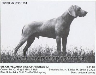 Image of Vedanta Vice of Akateze