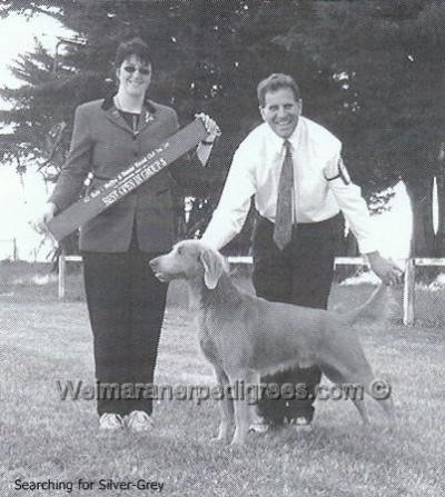 Image of Smokeydees Bazil Brush