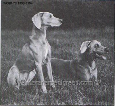 Image of Hydewoods Josie