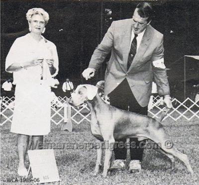Image of Mattrace's Harline Rockford