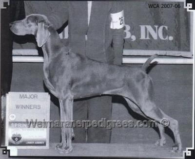 Image of Colsidex T Farm Bryrwd Remarkable