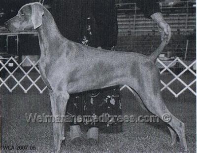 Image of Graysong's Dancing Isadora