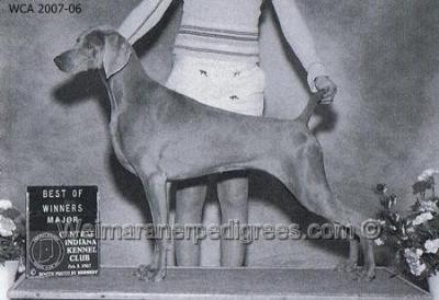 Image of Nani's Charlotta von Derr