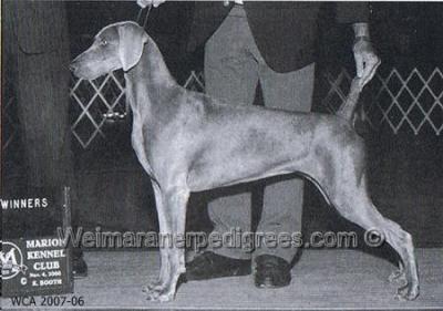 Image of Smoky City Expectation