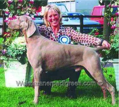 Image of Ansona Murphy