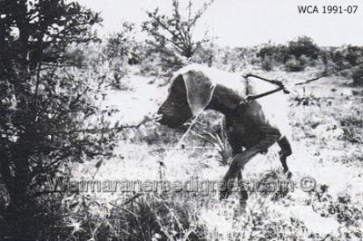 Image of Arimarlisa's Fiera von Reiteralm