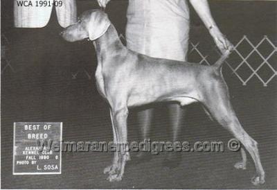 Image of Moonshadow's Masterpiece