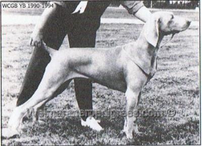 Image of Wipfel Tapestry of Luxvitae