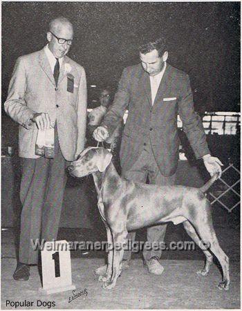 Image of Monomoy Solitaire