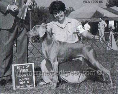 Image of Sho Mar's Joyful Noise