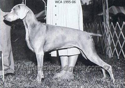 Image of Smokey City EZ Lady