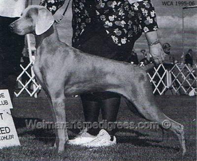 Image of Smokey City Special Delivery