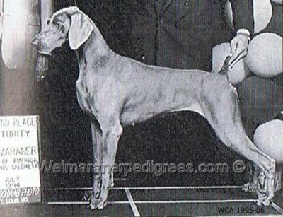 Image of Ultima's Miss Scarlet O