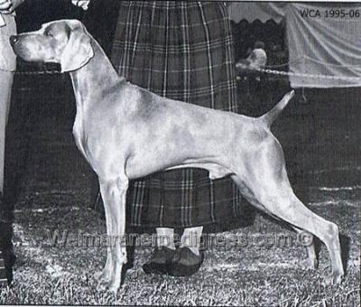 Image of Valmar's Streak O Luck