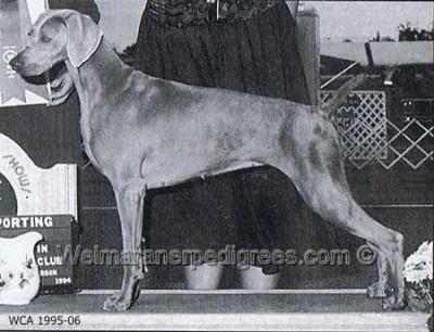 Image of Wismar's Slow Gin Fizz