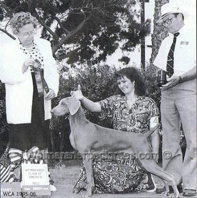 Image of Wynwood Ez Sailing For Glory