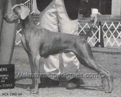 Image of Al's Georgia Girl