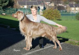 Image of Charmist Shooting Luger at Longtails