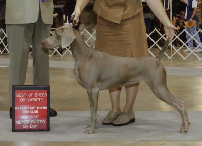 Image of Silberkinder The Next Thing Ya Know