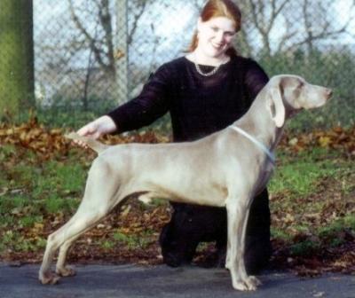 Image of Stormdancer Excel